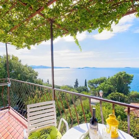 招待所 Areti 米利尼