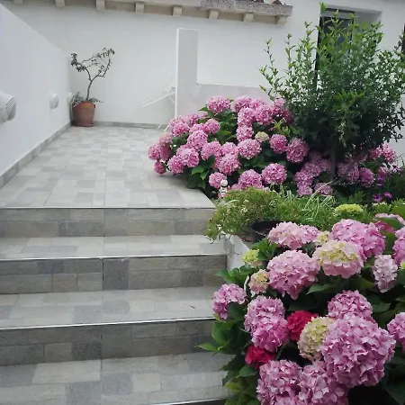 Areti Πανσιόν 3*